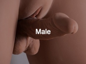 Male Sex Dolls