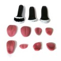 Teeth&Tongue Set  + $120.00 