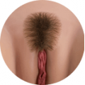 Pubic Hair  + $50.00 