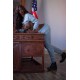 6YE 164cm( 55 ) D cup | Tanya 6YE 164cm( 55 ) D cup | Tanya