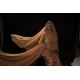 Zelex 167cm( 5'6'' ) E cup | Yerkes Zelex 167cm( 5'6'' ) E cup | Yerkes