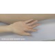 DS Summit 152cm( 5 ) A Cup | Daisy DS Summit 152cm( 5 ) A Cup | Daisy