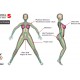 Piper Silicone 130cm( 43 ) D cup | Maxine Elf Piper Silicone 130cm( 43 ) D cup | Maxine Elf