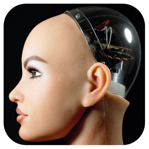 AI Tech Dolls